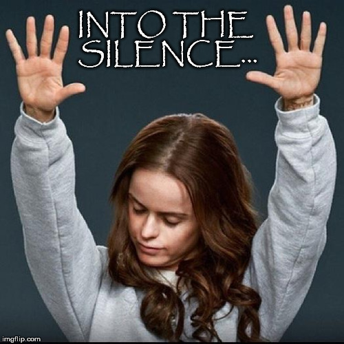 Into the.... |  INTO THE SILENCE... | image tagged in enjoy the silence,lyric,depeche mode,violator,orange is the new black,silence | made w/ Imgflip meme maker
