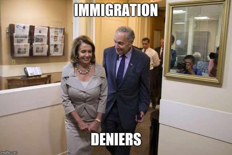 schumer Pelosi | IMMIGRATION; DENIERS | image tagged in schumer pelosi | made w/ Imgflip meme maker