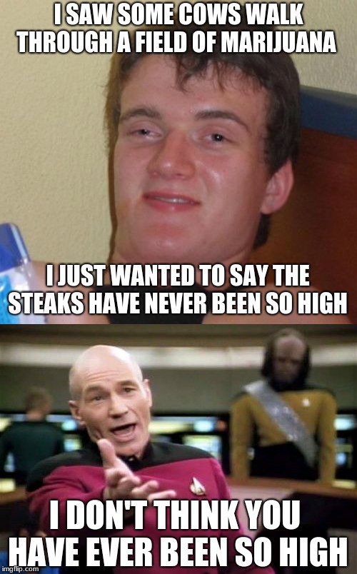 I SAW SOME COWS WALK THROUGH A FIELD OF MARIJUANA; I JUST WANTED TO SAY THE STEAKS HAVE NEVER BEEN SO HIGH; I DON'T THINK YOU HAVE EVER BEEN SO HIGH | image tagged in memes,10 guy,picard wtf | made w/ Imgflip meme maker