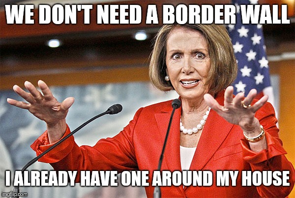 Nancy Pelosi is crazy | WE DON'T NEED A BORDER WALL; I ALREADY HAVE ONE AROUND MY HOUSE | image tagged in nancy pelosi is crazy | made w/ Imgflip meme maker