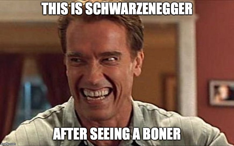Schwarzenegger's Excited Face | THIS IS SCHWARZENEGGER; AFTER SEEING A BONER | image tagged in arnold schwarzenegger,memes | made w/ Imgflip meme maker