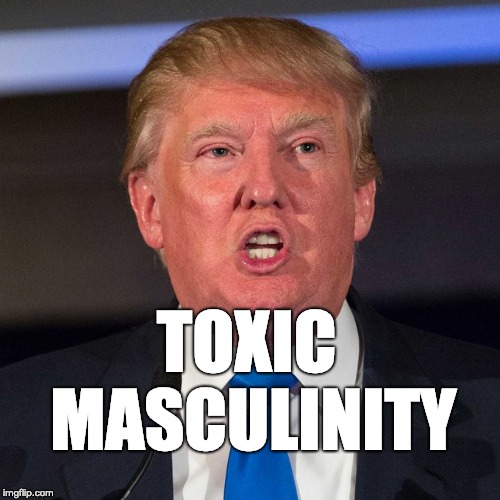 toxic masculinity | TOXIC MASCULINITY | image tagged in trump | made w/ Imgflip meme maker