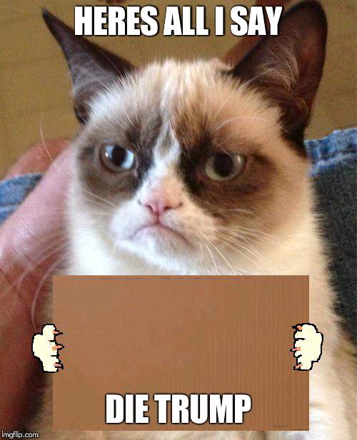 die trump | HERES ALL I SAY; DIE TRUMP | image tagged in grumpy cat cardboard sign | made w/ Imgflip meme maker