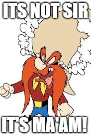 ITS NOT SIR; IT'S MA'AM! | image tagged in yosemite sam | made w/ Imgflip meme maker
