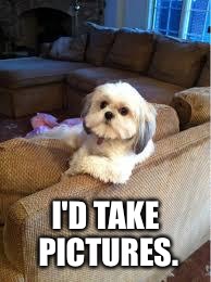 the most interesting dog in the world | I'D TAKE PICTURES. | image tagged in the most interesting dog in the world | made w/ Imgflip meme maker