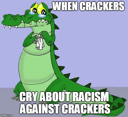 WHEN CRACKERS; CRY ABOUT RACISM AGAINST CRACKERS | image tagged in crackers | made w/ Imgflip meme maker