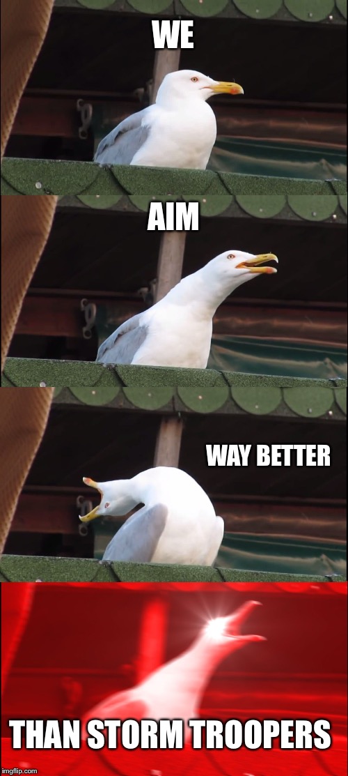 Inhaling Seagull Meme | WE AIM WAY BETTER THAN STORM TROOPERS | image tagged in memes,inhaling seagull | made w/ Imgflip meme maker