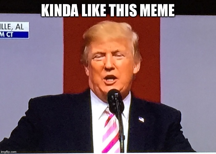 Trumpith | KINDA LIKE THIS MEME | image tagged in trumpith | made w/ Imgflip meme maker