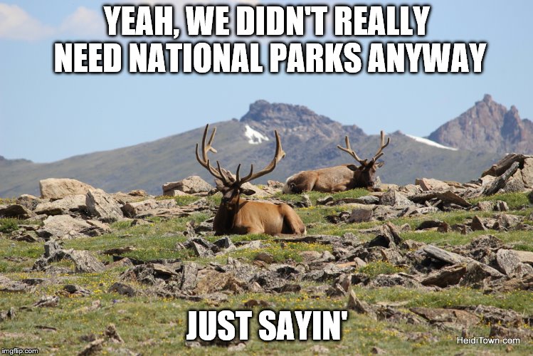 Rocky Mountains | YEAH, WE DIDN'T REALLY NEED NATIONAL PARKS ANYWAY JUST SAYIN' | image tagged in rocky mountains | made w/ Imgflip meme maker