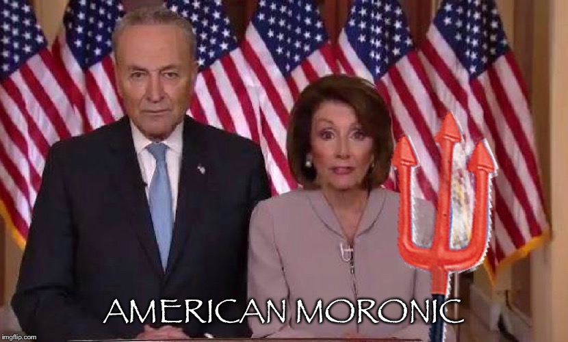American Moronic | AMERICAN MORONIC | image tagged in nancy pelosi,chuck schumer | made w/ Imgflip meme maker