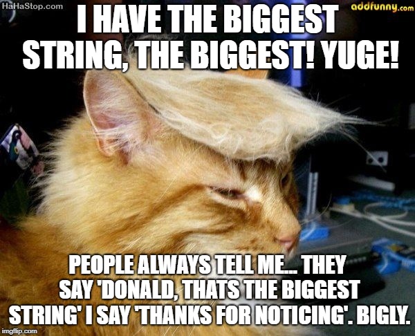 donald trump cat | I HAVE THE BIGGEST STRING, THE BIGGEST! YUGE! PEOPLE ALWAYS TELL ME... THEY SAY 'DONALD, THATS THE BIGGEST STRING' I SAY 'THANKS FOR NOTICING'. BIGLY. | image tagged in donald trump cat | made w/ Imgflip meme maker