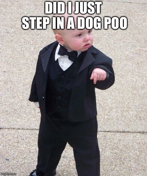 Baby Godfather Meme | DID I JUST STEP IN A DOG POO | image tagged in memes,baby godfather | made w/ Imgflip meme maker