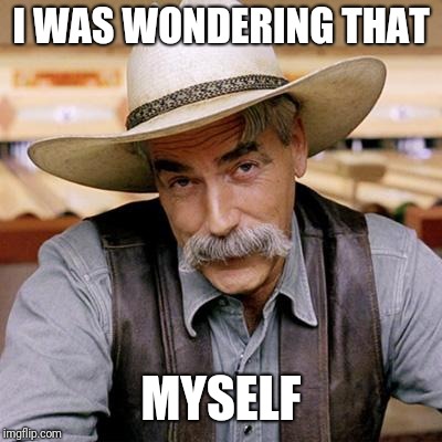 SARCASM COWBOY | I WAS WONDERING THAT MYSELF | image tagged in sarcasm cowboy | made w/ Imgflip meme maker