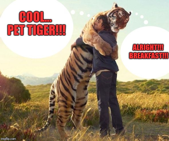 Man Hugging Tiger (w/ Text Clouds) | COOL... PET TIGER!!! ALRIGHT!!! BREAKFAST!!! | image tagged in man hugging tiger w/ text clouds | made w/ Imgflip meme maker