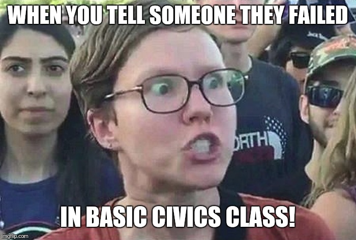 Triggered Liberal | WHEN YOU TELL SOMEONE THEY FAILED IN BASIC CIVICS CLASS! | image tagged in triggered liberal | made w/ Imgflip meme maker