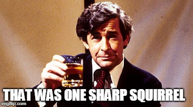 THAT WAS ONE SHARP SQUIRREL | made w/ Imgflip meme maker