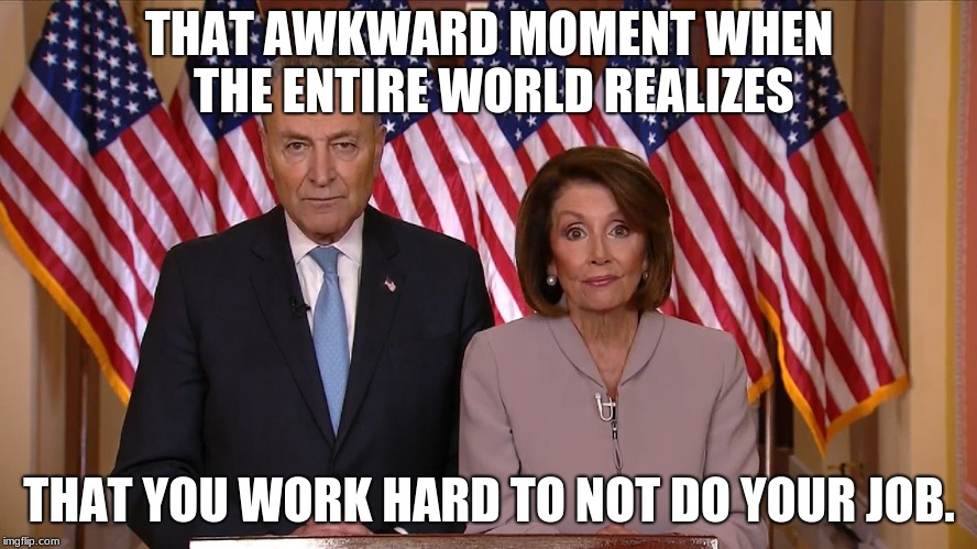 Schumer and Pelosi, proven failures. | THAT AWKWARD MOMENT WHEN THE ENTIRE WORLD REALIZES; THAT YOU WORK HARD TO NOT DO YOUR JOB. | image tagged in chuck and nancy,vote against incumbents,term limits now,build the wall,everything wrong with america in one picture | made w/ Imgflip meme maker