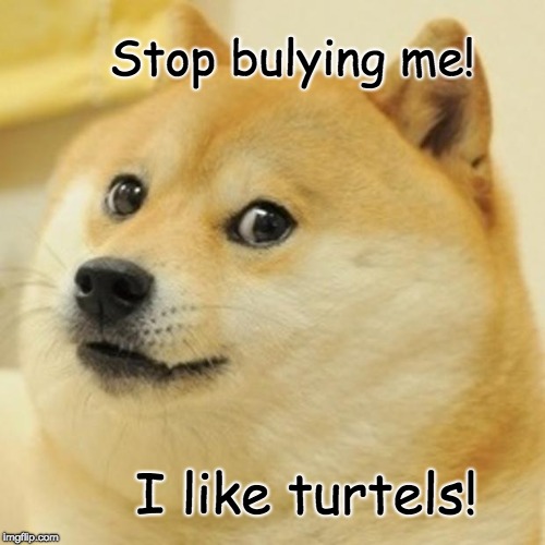 Doge | Stop bulying me! I like turtels! | image tagged in memes,doge | made w/ Imgflip meme maker