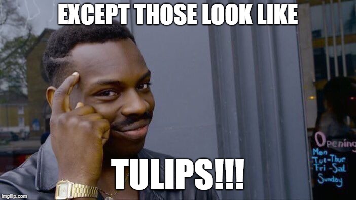 Roll Safe Think About It Meme | EXCEPT THOSE LOOK LIKE TULIPS!!! | image tagged in memes,roll safe think about it | made w/ Imgflip meme maker