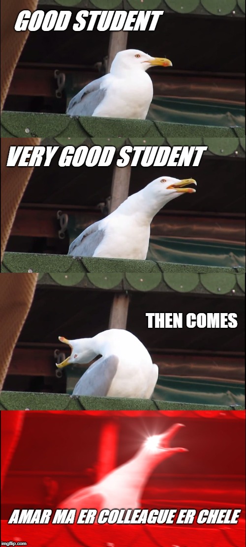Inhaling Seagull Meme | GOOD STUDENT; VERY GOOD STUDENT; THEN COMES; AMAR MA ER COLLEAGUE ER CHELE | image tagged in memes,inhaling seagull | made w/ Imgflip meme maker
