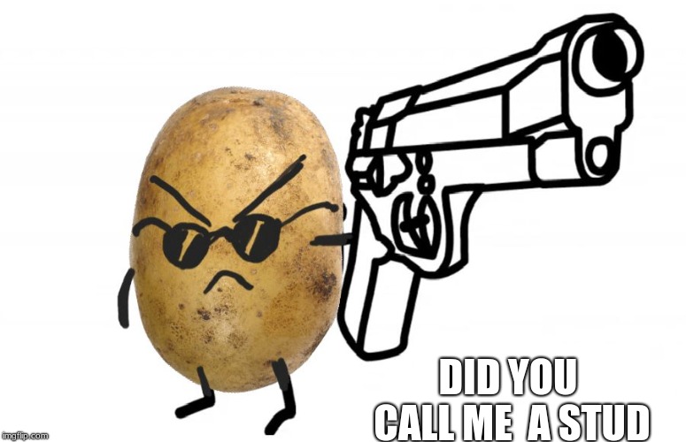 DID YOU CALL ME  A STUD | image tagged in potatoes | made w/ Imgflip meme maker