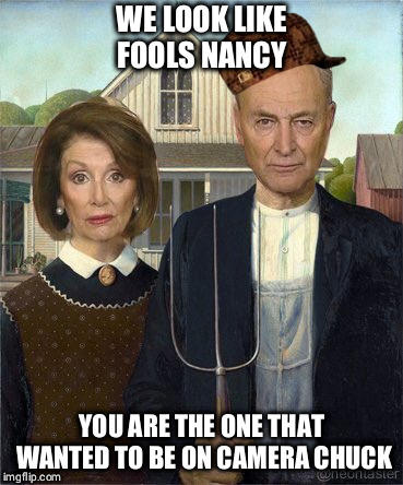 Foolish fools | WE LOOK LIKE FOOLS NANCY; YOU ARE THE ONE THAT WANTED TO BE ON CAMERA CHUCK | image tagged in chuck schumer,nancy pelosi,fools | made w/ Imgflip meme maker