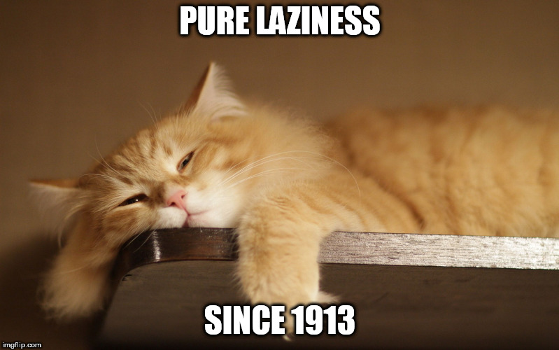 Lazy Cat | PURE LAZINESS; SINCE 1913 | image tagged in lazy cat | made w/ Imgflip meme maker