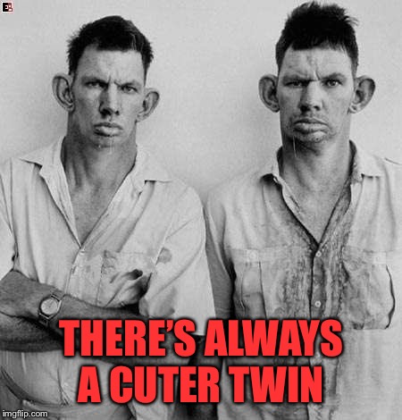 THERE’S ALWAYS A CUTER TWIN | made w/ Imgflip meme maker