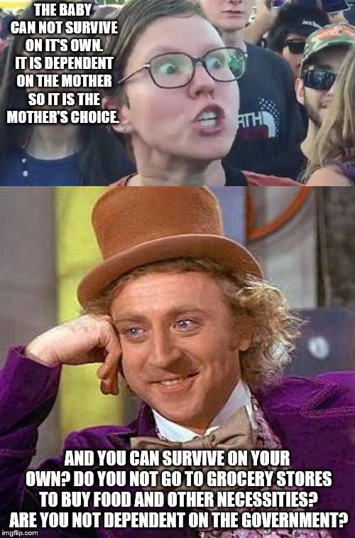 THE BABY CAN NOT SURVIVE ON IT'S OWN. IT IS DEPENDENT ON THE MOTHER SO IT IS THE MOTHER'S CHOICE. AND YOU CAN SURVIVE ON YOUR OWN? DO YOU NO | image tagged in memes,creepy condescending wonka | made w/ Imgflip meme maker