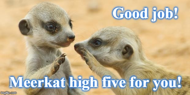 gossip meerkats | Good job! Meerkat high five for you! | image tagged in gossip meerkats | made w/ Imgflip meme maker