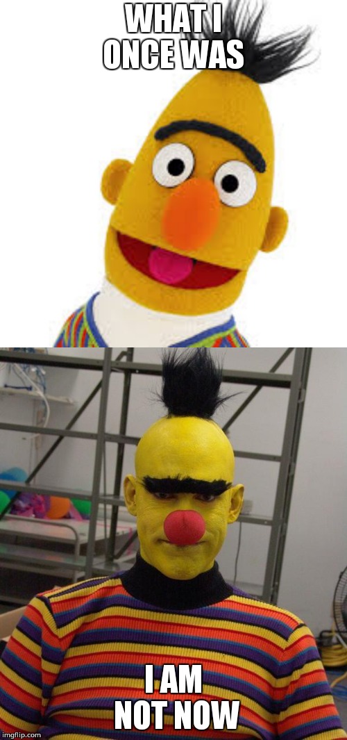Bert on crack | WHAT I ONCE WAS; I AM NOT NOW | image tagged in bert on crack,sesame street memes | made w/ Imgflip meme maker