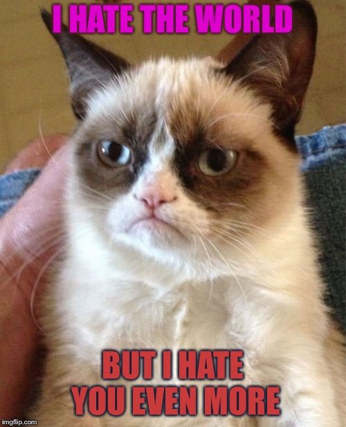 Grumpy Cat | I HATE THE WORLD; BUT I HATE YOU EVEN MORE | image tagged in memes,grumpy cat | made w/ Imgflip meme maker