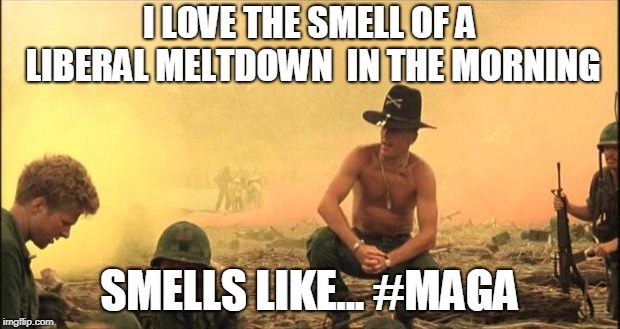 I love the smell of napalm in the morning | I LOVE THE SMELL OF A LIBERAL MELTDOWN  IN THE MORNING; SMELLS LIKE... #MAGA | image tagged in i love the smell of napalm in the morning | made w/ Imgflip meme maker