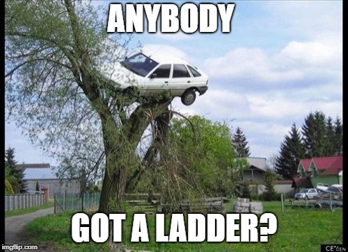 Secure Parking Meme | ANYBODY; GOT A LADDER? | image tagged in memes,secure parking | made w/ Imgflip meme maker