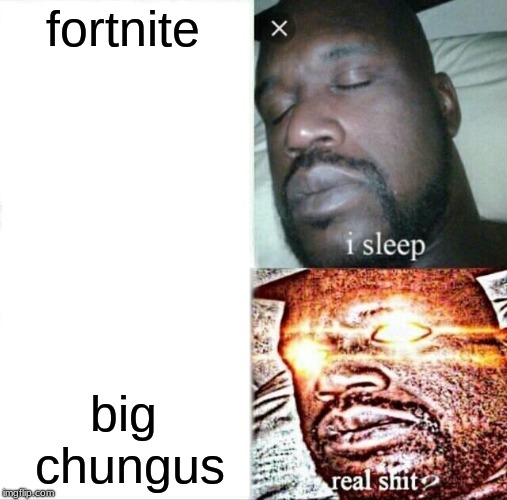 Sleeping Shaq | fortnite; big chungus | image tagged in memes,sleeping shaq | made w/ Imgflip meme maker