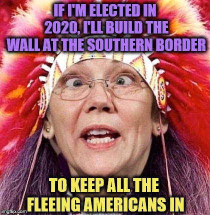 Elizabeth Warren | IF I'M ELECTED IN 2020, I'LL BUILD THE WALL AT THE SOUTHERN BORDER TO KEEP ALL THE FLEEING AMERICANS IN | image tagged in elizabeth warren | made w/ Imgflip meme maker