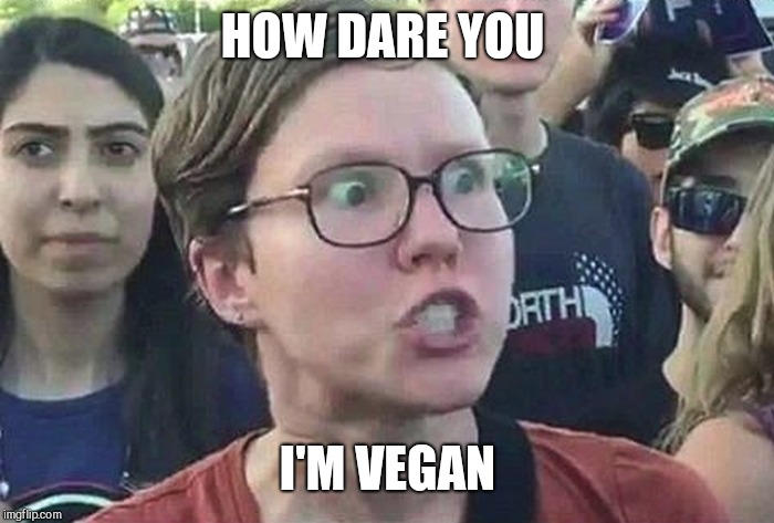 Triggered Liberal | HOW DARE YOU I'M VEGAN | image tagged in triggered liberal | made w/ Imgflip meme maker