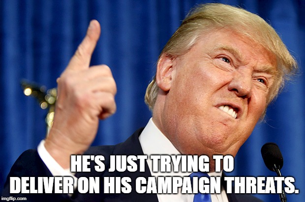 Donald Trump | HE'S JUST TRYING TO DELIVER ON HIS CAMPAIGN THREATS. | image tagged in donald trump | made w/ Imgflip meme maker