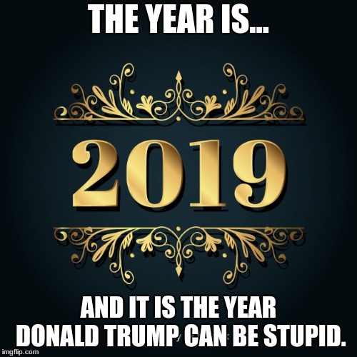 2019 | THE YEAR IS... AND IT IS THE YEAR DONALD TRUMP CAN BE STUPID. | image tagged in 2019 | made w/ Imgflip meme maker