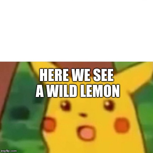 Surprised Pikachu Meme | HERE WE SEE A WILD LEMON | image tagged in memes,surprised pikachu | made w/ Imgflip meme maker
