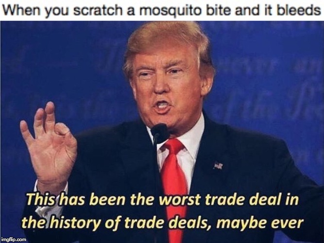 image tagged in donald trump worst trade deal,mosquito,donald trump,bleed | made w/ Imgflip meme maker