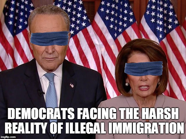 DEMOCRATS FACING THE HARSH REALITY OF ILLEGAL IMMIGRATION | image tagged in birdbox,chuck schumer,nancy pelosi | made w/ Imgflip meme maker