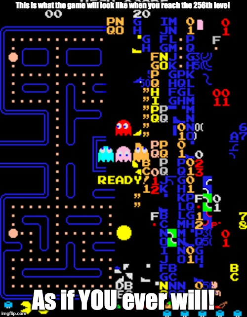 Pac-Man Death Screen | This is what the game will look like when you reach the 256th level; As if YOU ever will! | image tagged in pac-man,memes,death screen | made w/ Imgflip meme maker