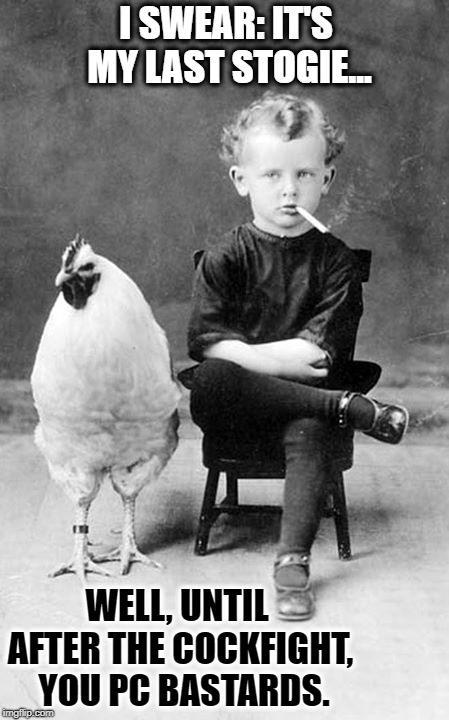 There was a Time... long ago | I SWEAR: IT'S MY LAST STOGIE... WELL, UNTIL AFTER THE COCKFIGHT,  YOU PC BASTARDS. | image tagged in vince vance,kid smoking,cock rooster,pet chicken,politically incorrect,pc | made w/ Imgflip meme maker