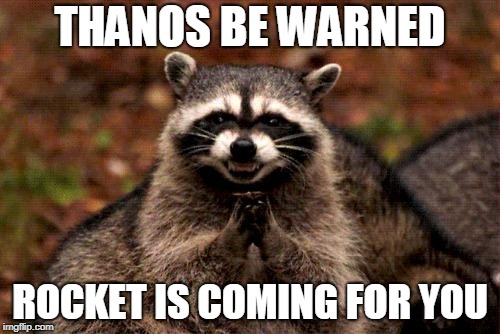 Evil Plotting Raccoon | THANOS BE WARNED; ROCKET IS COMING FOR YOU | image tagged in memes,evil plotting raccoon | made w/ Imgflip meme maker