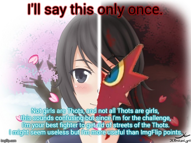 Yandere Blaziken | I'll say this only once. Not girls are Thots, and not all Thots are girls, this sounds confusing but since I'm for the challenge, I'm your b | image tagged in yandere blaziken | made w/ Imgflip meme maker