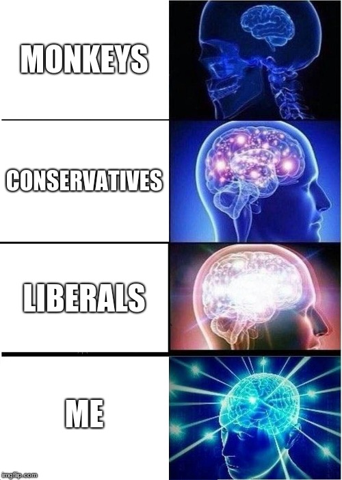 Expanding Brain | MONKEYS; CONSERVATIVES; LIBERALS; ME | image tagged in memes,expanding brain | made w/ Imgflip meme maker