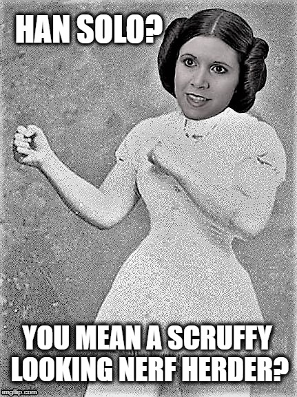 Overly manly princess  | HAN SOLO? YOU MEAN A SCRUFFY LOOKING NERF HERDER? | image tagged in funny memes,starwars,han solo,princess leia,overly manly woman | made w/ Imgflip meme maker