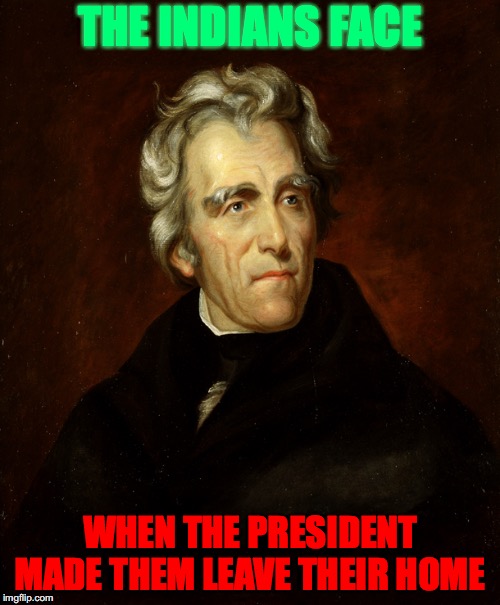 No place to call home  | THE INDIANS FACE; WHEN THE PRESIDENT MADE THEM LEAVE THEIR HOME | image tagged in president andrew jackson | made w/ Imgflip meme maker