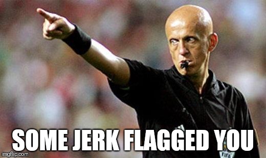 football referee | SOME JERK FLAGGED YOU | image tagged in football referee | made w/ Imgflip meme maker
